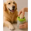 Köpek Ayak Yıkama