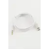 Type C to 3,5 AUX Audio