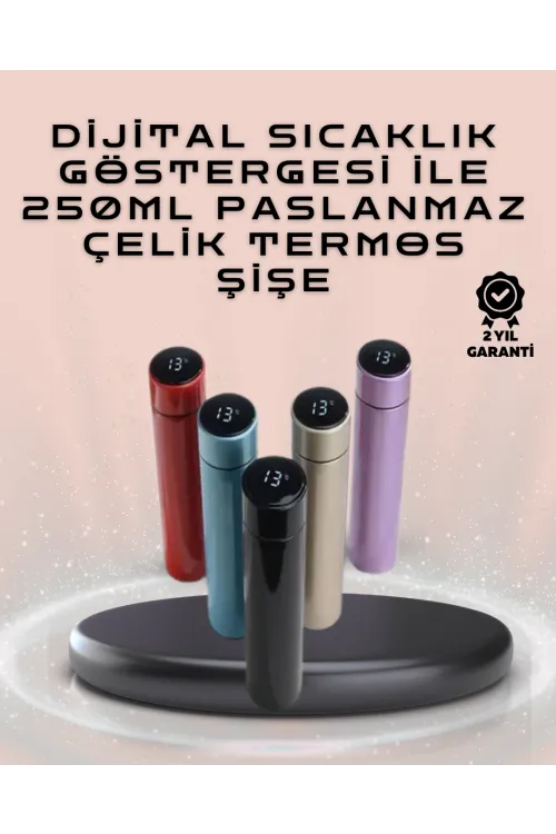 250ml Led Ekranlı Paslanmaz Çelik Akıllı Termos