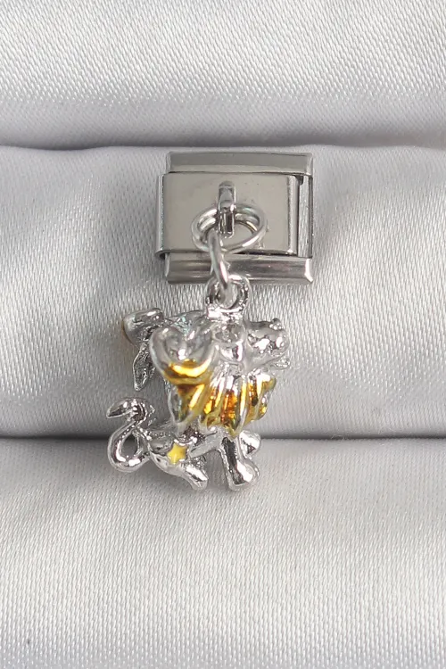 ietaks™ 316L Çelik Gümüş Renk Sallantı Aslan Model Nomination Charm