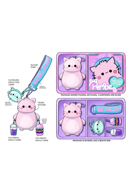 40313 PEMBE MYSTERY BENTO BOX