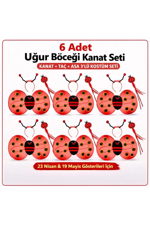 639lı Uğur Böceği Kostüm Seti – Kanat Taç Asa
