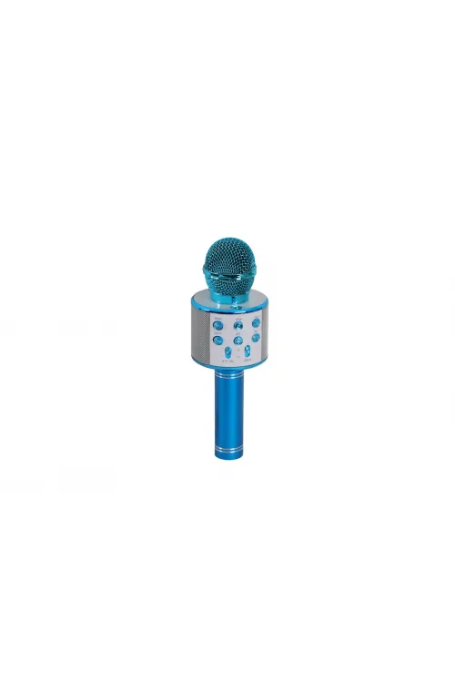 EMR-101 KUTULU KARAOKE MİKROFON
