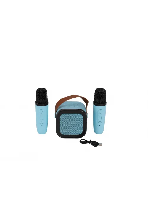 EMR-102 KUTULU 2Lİ KARAOKE MİKROFON