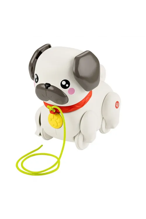 HTW94 Fisher-Price  Minik Dostumla Yürüyüş