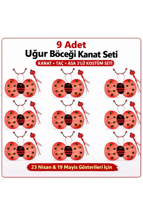 9’lu Uğur Böceği Kostüm Seti – Kanat Taç Asa