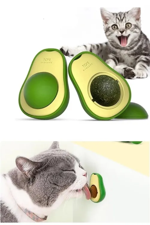 Avokado Kedi Nanesi Oyun Topu