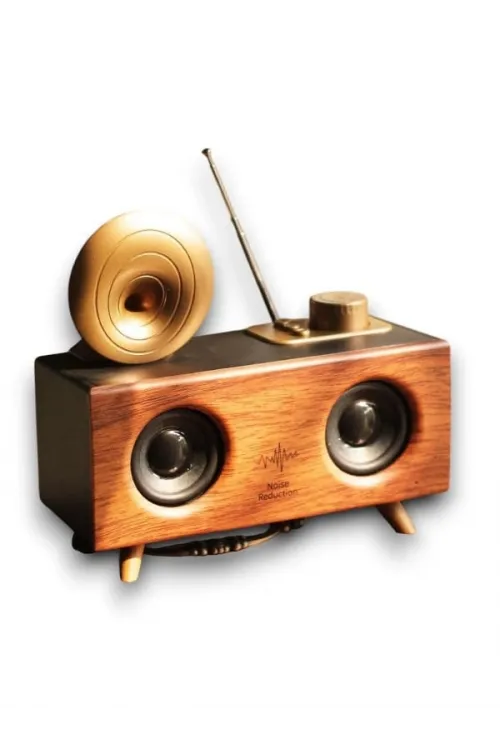 B6 Speaker Hoparlör
