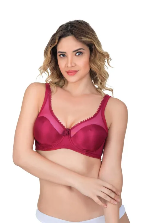 ieg™ BORDO MI  169 C Basic Balenli Toparlayıcı Sütyen