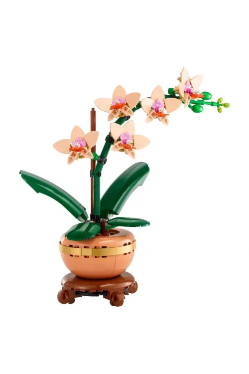 Botanicals Mini Orkide 10343
