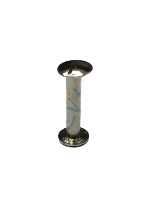 Cilt Menü, Katalog, Kartela Vidası, 20 Mm - Nikel, 100 Adet