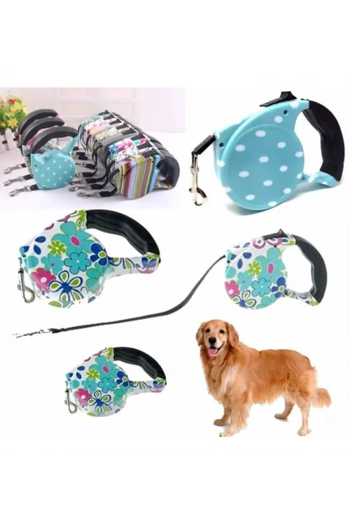 Desenli Köpek Tasması - Pup Style