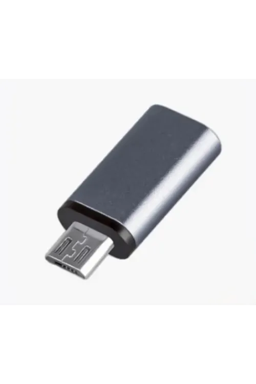 FT Ada22 Type-C To Micro Çevirici Mini Adaptör ZR352