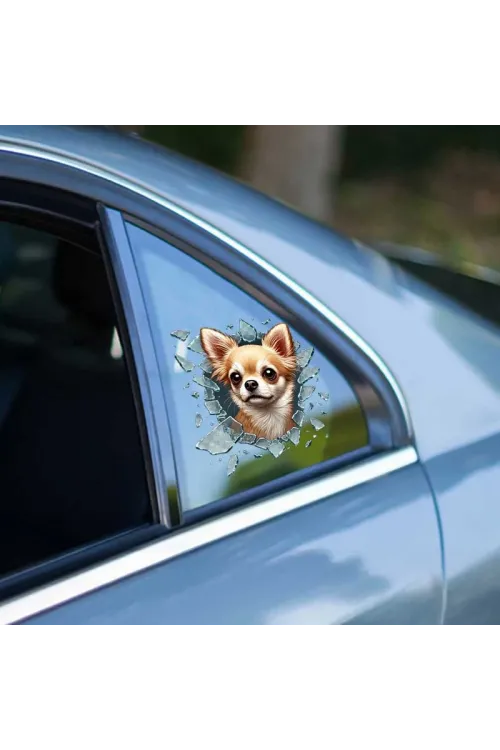 Fulcar Chiuahua Araç Stickerı