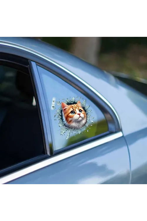 Fulcar Sarman Araç Stickerı