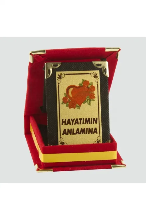 Hayatımın Anlamına Plaketi