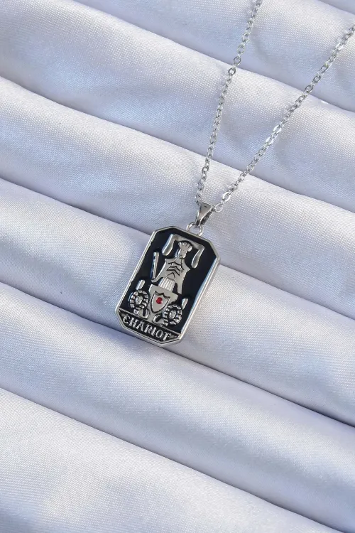 316L Çelik Zincir Gümüş Renk Siyah Mineli Tarot Kolye TJ-BKO9246