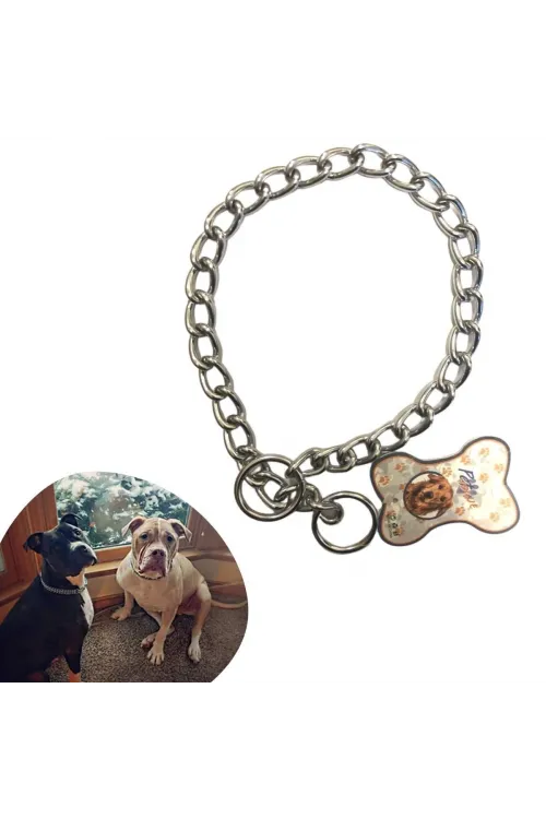 ieg™  65 cm Uzunlukta Zincir Model Köpek İçin Boyun Tasması