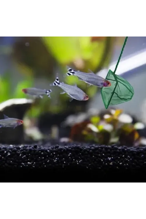 Akvaryum Balık Kepçesi – 12 cm