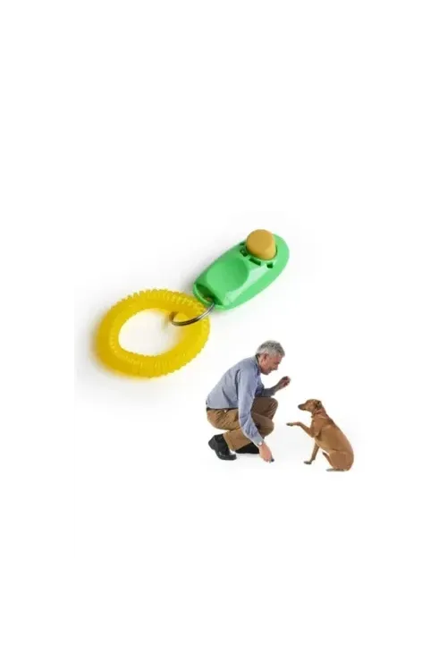 Clicker Köpek Eğitim Aleti
