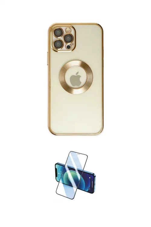 ieg™ iPhone 12 Pro Kılıf Pusula Form - Siyah 3D Antistatik Cam Ekran Koruyucu