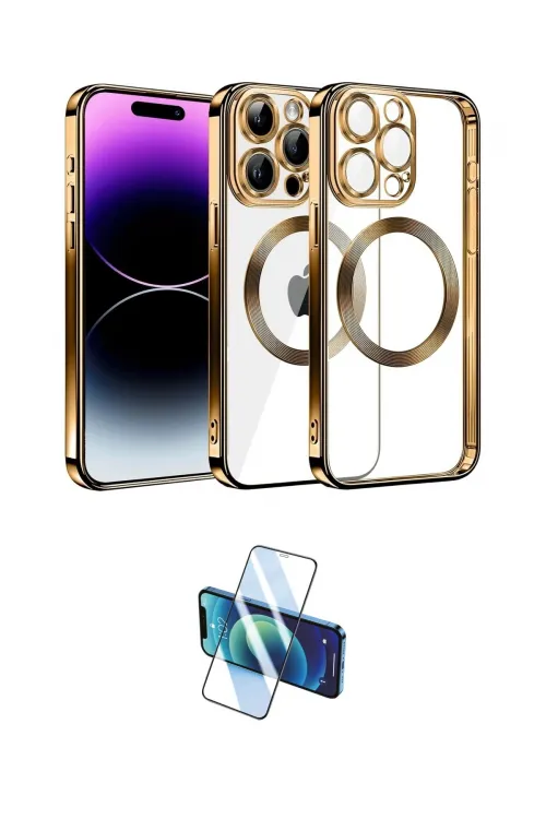 ieg™ iPhone 13 Pro Max Kılıf Pusula Form - Siyah 3D Antistatik Cam Ekran Koruyucu