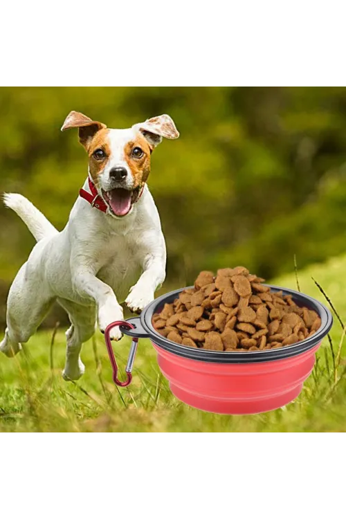 ieg™  Katlanabilir Kedi Köpek Mama ve Su Kabı Köpek Oyuncağı