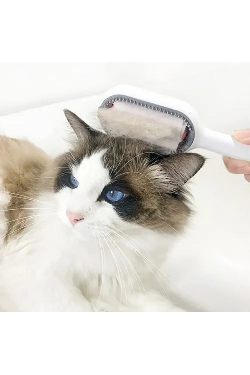 Kedi Köpek Tüy Toplama Tarağı