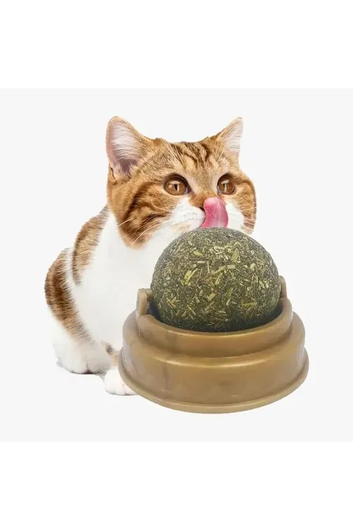 Kedi Nanesi Oyun Topu