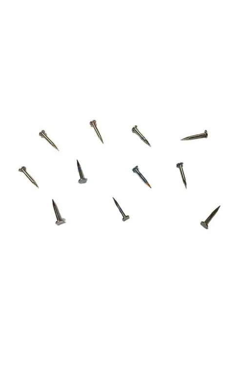 Klips, Menteşe, Ayağı Çivisi 9mm Çelik - Nikel 10gr
