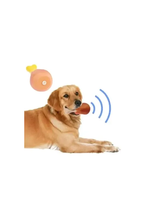 Köpekler İçin Sesli Oyuncak Tavuk Butu