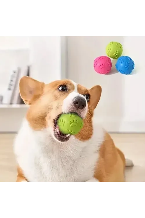 Pati Desenli Dayanıklı Köpek Isırma Topu