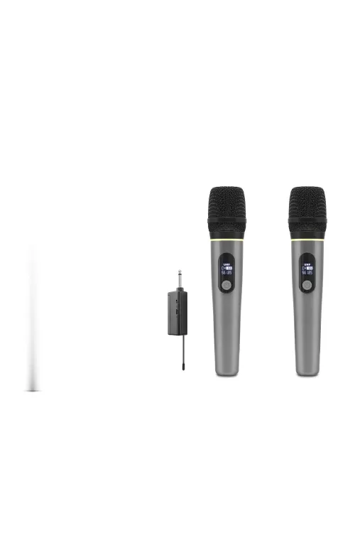 Profesyonel Kablosuz Uhf 2 Mikrofonlu Set 6.35 Mm - Gri HDX2791G