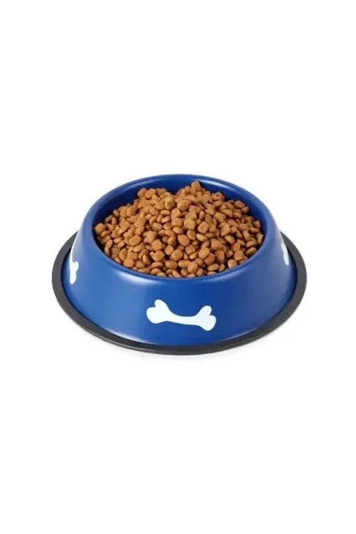 Renkli Kemik Desenli Metal Mama Kabı