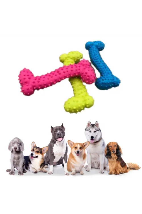 Tiny Kemik Oyuncağı Tırtıklı Yüzey Küçük Kemik Plastik Köpek Oyuncağı