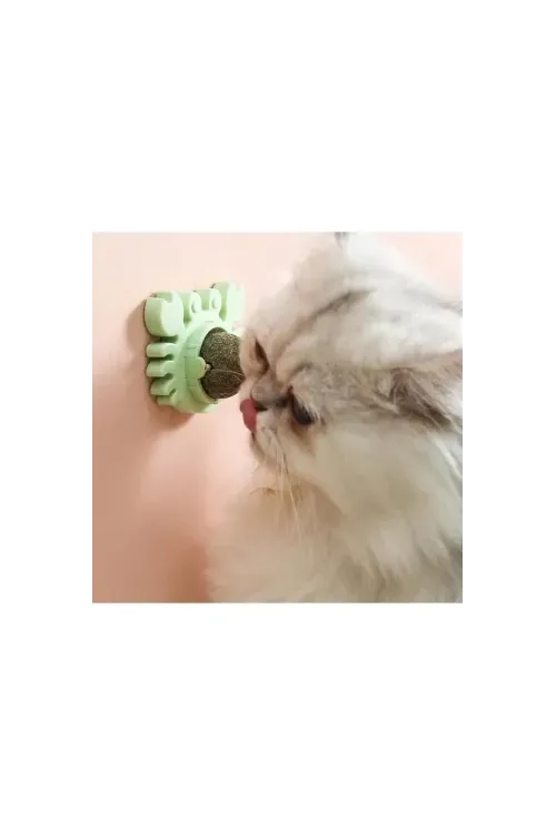 Yengeç Kedi Otu Oyun Topu