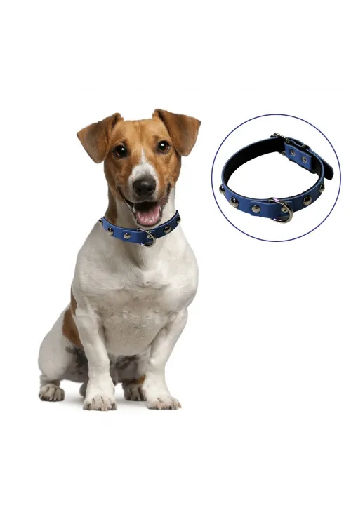 ieg™  Yumuşak Dokulu Deri Köpek Gezdirme Boyun Tasması (Large)