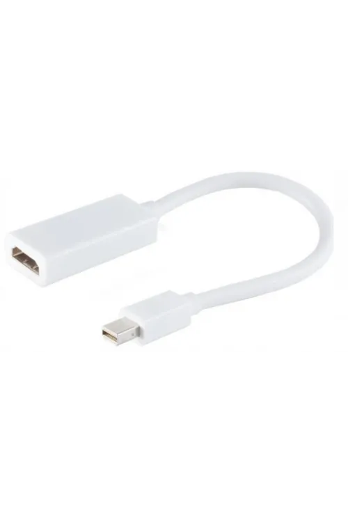 ZR138 Mini Dp Hdmı Çevirici Kablo 30 Cm