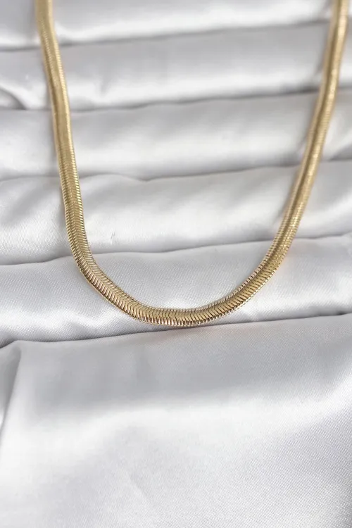 ietaks™ CM 14K Gold Renk Yassı Yılan Zincir Model 45 cm Kadın Kolye