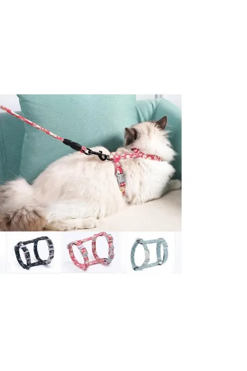 Kedi Gezdirme Göğüs Tasması