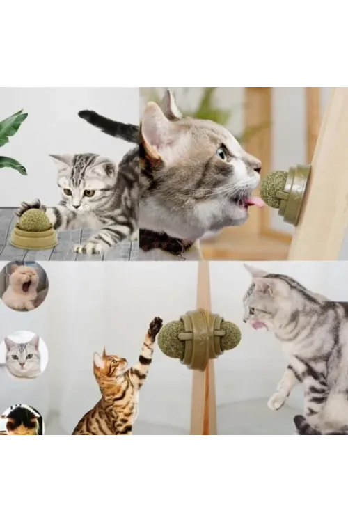 Kedi Nanesi Oyun Topu