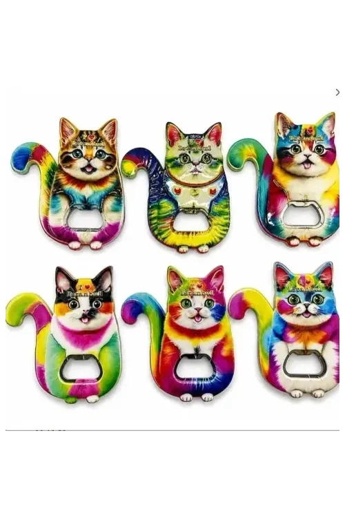 Kedi Tasarımı İstanbul Temalı Buzdolapı Süsü Magnet