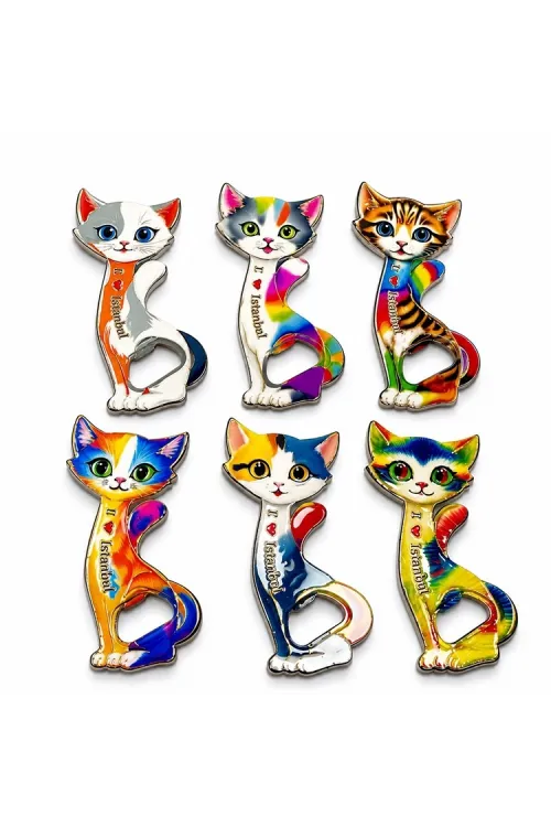 Kedi Tasarımı İstanbul Temalı Buzdolapı Süsü Magnet IEG5409