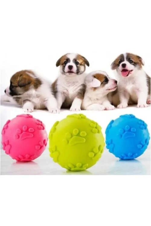 Köpek Isırma Topu Pati Desenli 1291