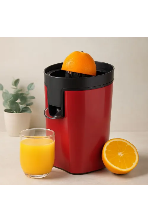Meyve Sıkacağı 2 Başlıklı 30W