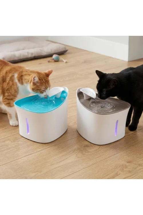 Otomatik Kedi Su Pınarı