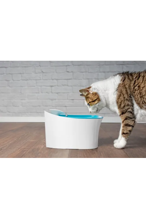 Otomatik Uyarılı Kedi Köpek Su Kabı