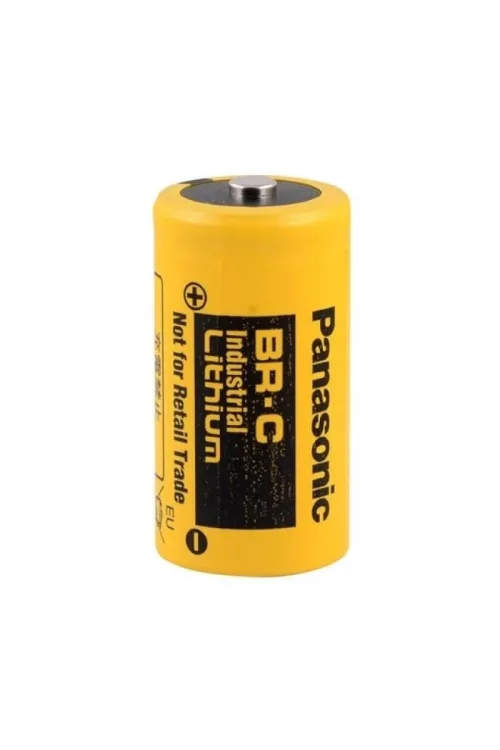 Panasonic Br-c Indistruial Lithium 3v Cnc Pili