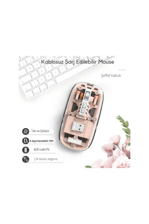 Pembe 501 Bt+ Wireless Mouse ZR1133