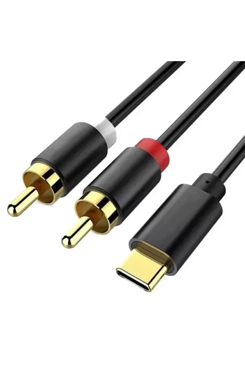 Powermaster PM-29963 2xRca To Type-C 2 Metre Kablo